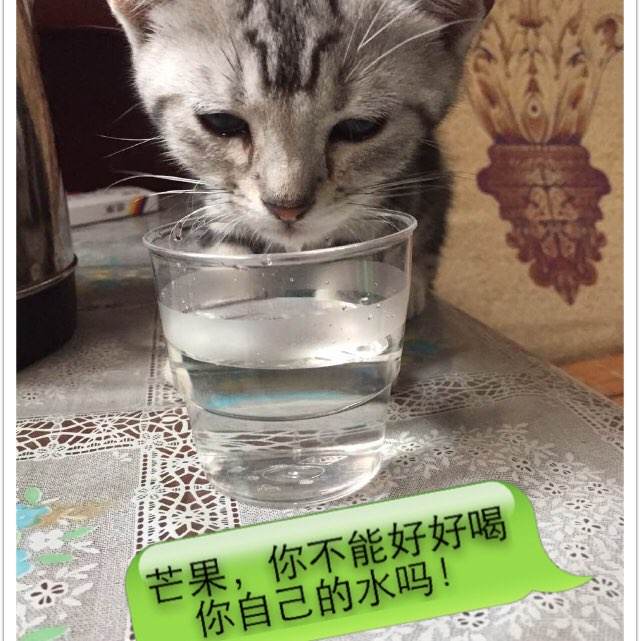 车库不动产权证